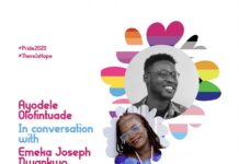 The possibilities of Gender: Emeka Joseph Nwankwo, in conversation with Ayodele Olofintuade