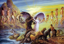 #YNaijaNonBinary: On reincarnation and past lives