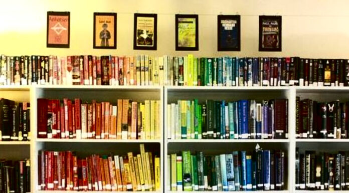 Once upon a time when Nigerian authors gave queer people a voice